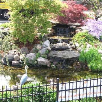 TJB-INC Display Gardens & Ponds - 12 Crestway Hamden