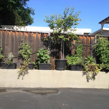 The Conetto Family Natural Gas Powered Brick Pizza Oven in California