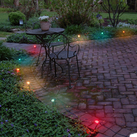 Electric Pathway Lights, Multicolor