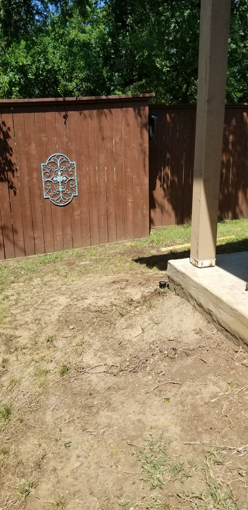 steep backyard help