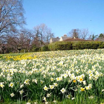 Briarcliff Manor | Historic Estate | Garden Renovation