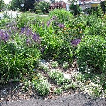 front yard