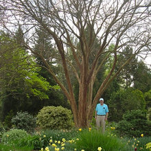 Atlanta gardening