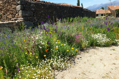 Design ideas for a mediterranean garden in Other.