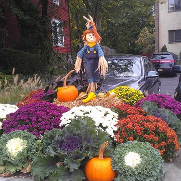 Fall Decorating install.