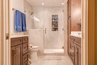 Transitional bathroom photo in Orlando with a hinged shower door and a built-in vanity