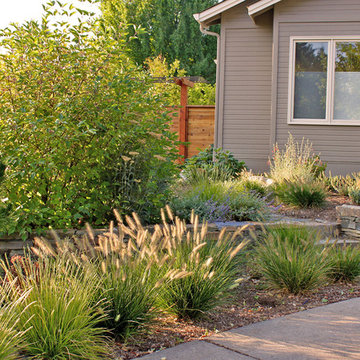 Retaining Wall and Steps