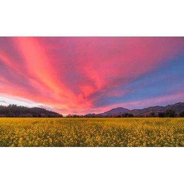 Spring Sunset Napa Valley Print