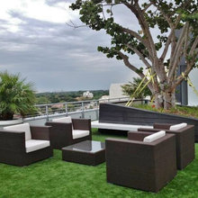 Backyard - Patio