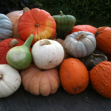 AUTUMN IDEAS