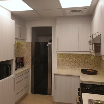 Kitchen remodeling in Silicon