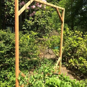 Cedar trellis with sugar snap peas