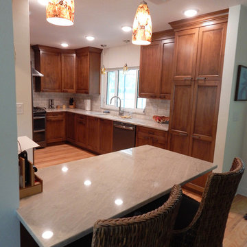 Kitchen Remodel for our Client located in Dunedin