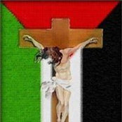 Nader Khashan's photo
