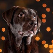 Rosel Nohners foto