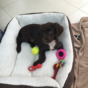 Harriet Whitbread's photo