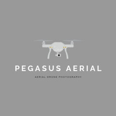 Pegasus Aerial