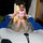 maureen_leclair