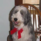 Katrina Lowe's photo