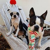Susan Biggers's photo