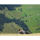Lise Allard's photo