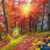 Foto von Barb Brown