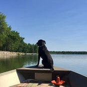 Deb Larson's photo