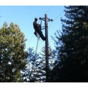 Jason Haase's photo