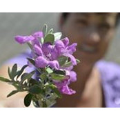 Stacy Massengill-Munro's photo