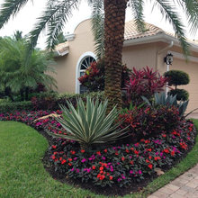 yard design