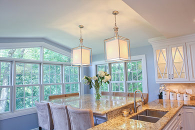 Example of a transitional kitchen design in Other