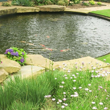 Custom Pond & Water Feature Installations