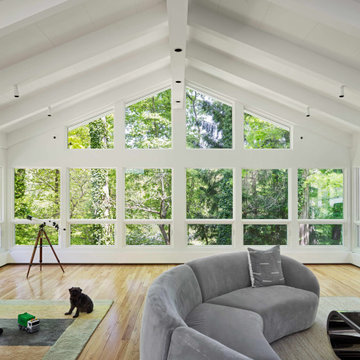 Sodon Lake House Renovation