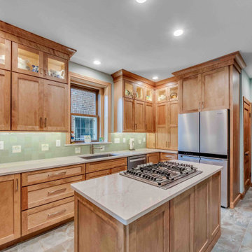 Skinker DeBaliviere Kitchen Renovation