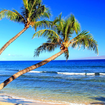Vacation-Maui.com