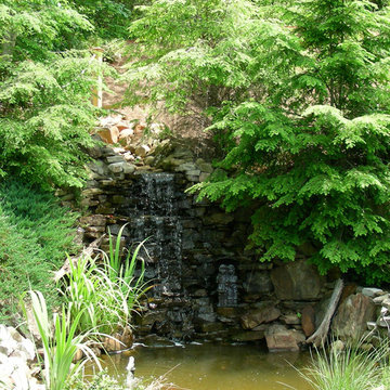 Georgia Natural Scapes Portfolio