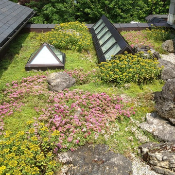 Green Roofs