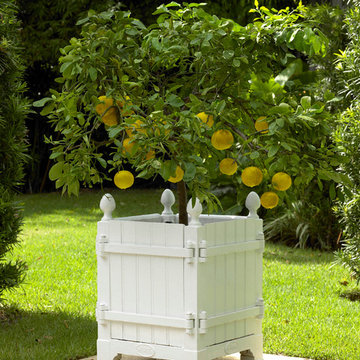 Planters