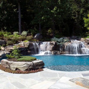 Swimming Pool Sun Shelf Design & Installation Bergen County Northern NJ