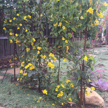 Rebar Structure for Butterfly Vine