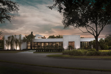 Expansive modern one-storey stucco white house exterior in Orlando with a flat roof.