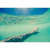 Gareth Sheehan's photo