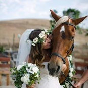Krystal Cates's photo