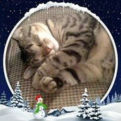 Denise Caudle's photo