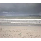 Antonio Sini's photo