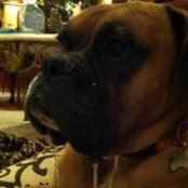 Kelli Holman's photo