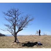 Ann Lewis's photo
