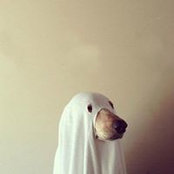Gregory Boyer's photo