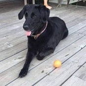Lenore Smith's photo