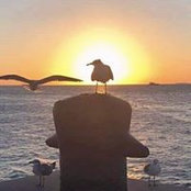 Brian Leeper's photo